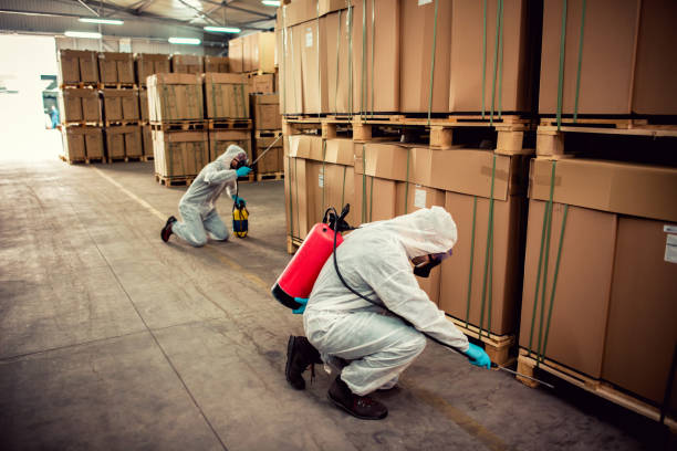 Best Rat Extermination Near Me  in Maine, WI