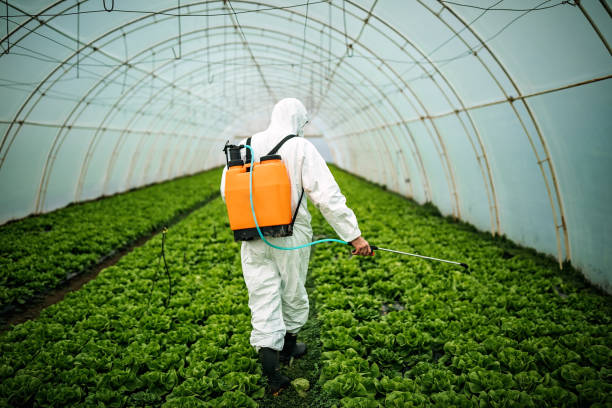 Best Pest Inspection Near Me  in Maine, WI