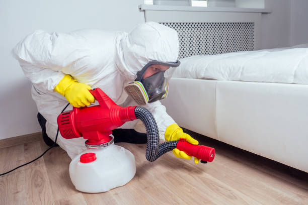 Best Termite Control Services  in Maine, WI