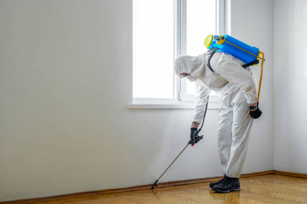 Reliable Maine, WI Pest Control Solutions