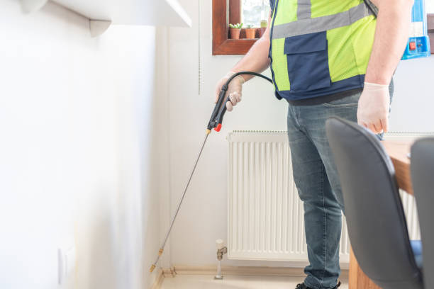 Best Termite Control Services  in Maine, WI