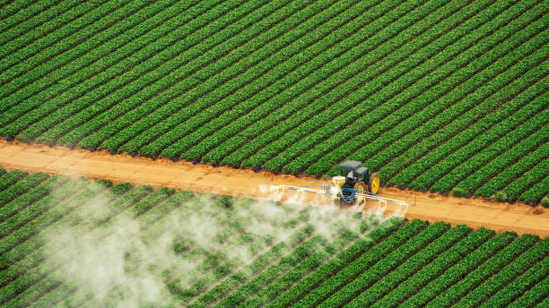 Best Mosquito Control Services  in Maine, WI